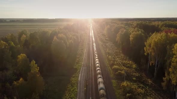 Upper View Cargo Train Drives Through Wood Against Sunset