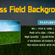 Grass Field Background - VideoHive Item for Sale
