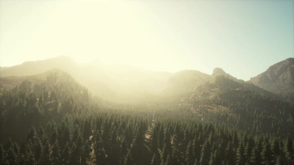 Majestic Mountains with Forest Foreground in Canada