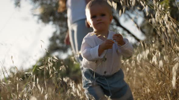 Cute Toddler Plucks Wild Flowers Growing in Meadow Grass