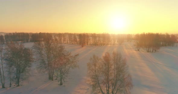 Aerial Drone View of Cold Winter Landscape with Arctic Field, Trees Covered with Frost Snow