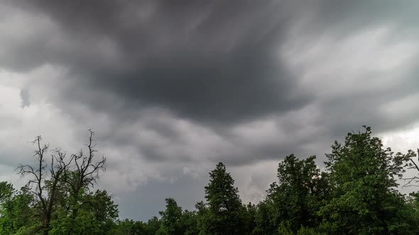 Stormy Clouds Above Green Forest Tree Tops at Summer Day