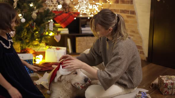 Mother and Daughter Stroking Golden Retriever Dog in Santa Hat on Carpet Floor Under Decorated New