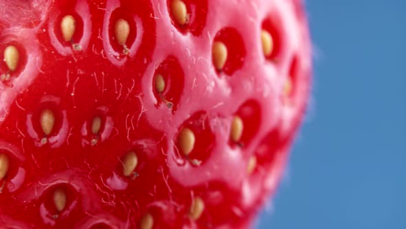 Organic Red Ripe Strawberry Rotating on Blue Backdrop