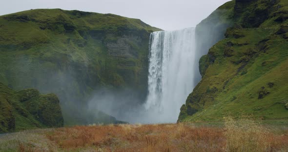 Epic Skogafoss Waterfall with Foliage in Foreground Iceland