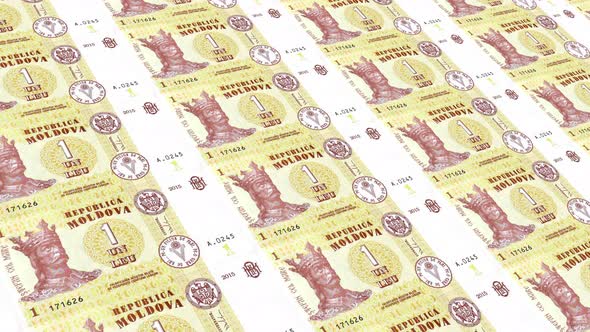 Moldova  Money /1 Moldovan Leu 4K