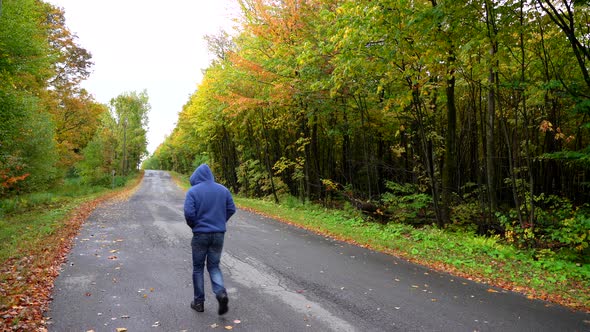 Man walking on a small road surrounded by maple autumn maple leaf