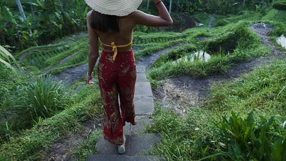 Beautiful girl spending time in the rice fields of Bali