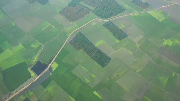 Aerial view of agricultural field in Sapahar, Rajshahi state, Bangladesh.