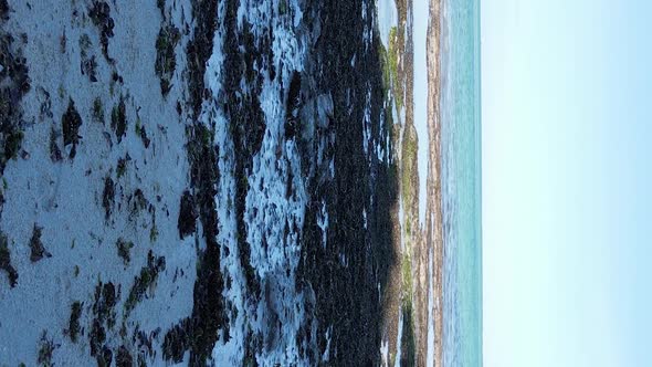 Zanzibar Tanzania  Vertical Video of Low Tide in the Ocean Near the Coast Slow Motion