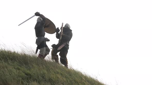 Two vikings fighting on a hill