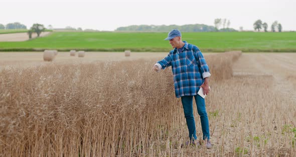 Farmer Using Digital Tablet on Field Agriculture