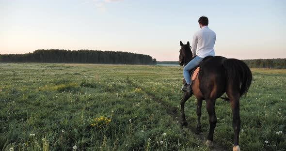 A Rider Rides a Horse Across a Field at Dawn