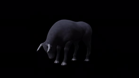 Bull Eat View From Front Side alt
