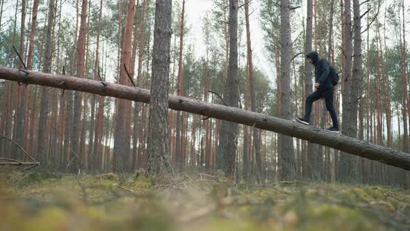 a Man Balances on a Fallen Tree and Looks for a Cellular Signal