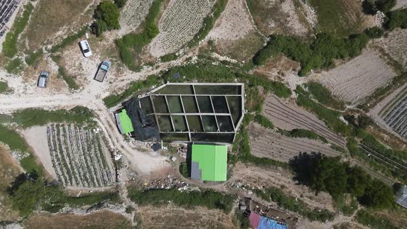 Fish Pond Greenery Aerial View