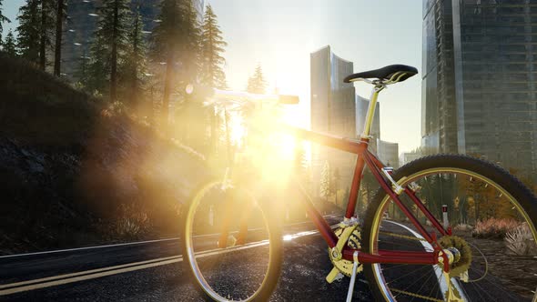 City Bicycle on the Road alt