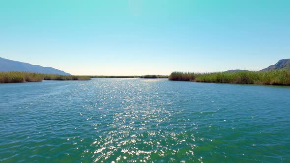 Boat Tour (4K)