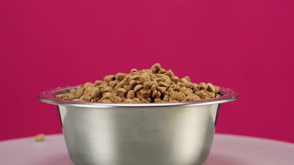 Dried Dog Food in Metal Bowl Closeup Rotating