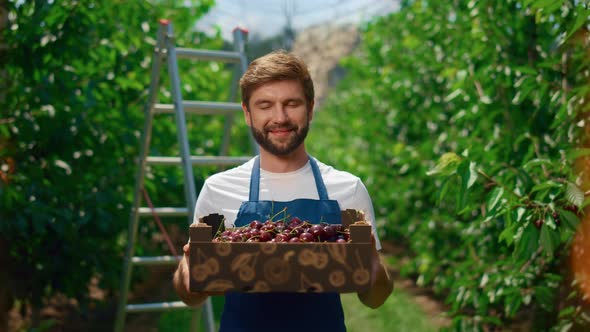 Farmer Holding Cherry Crate in Green Summer Garden