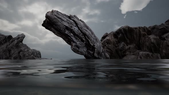 Half Underwater in Northern Sea with Rocks