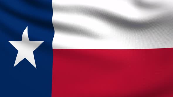 Texas Flag 4K
