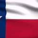 Texas Flag 4K - VideoHive Item for Sale