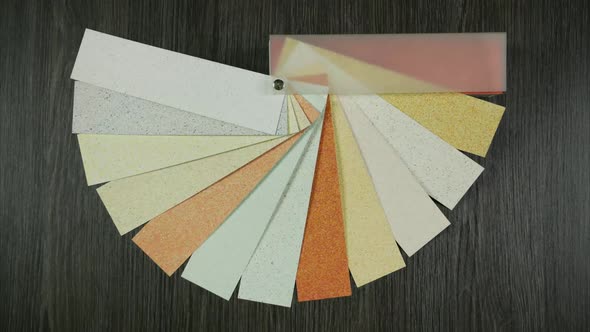 Decorative Wall Paint Samples, The Choice of Paint for the Home, Stop Motion