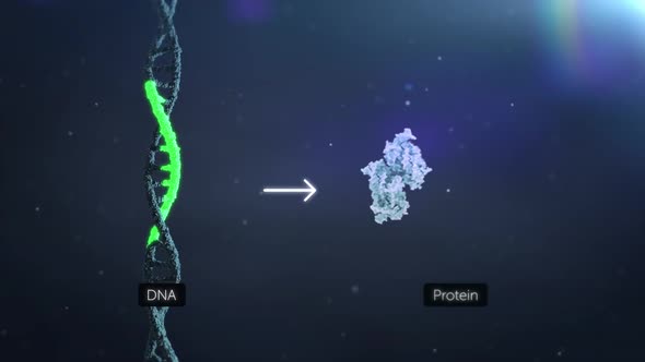 DNA mutation, a mutation is a change in a DNA sequence,