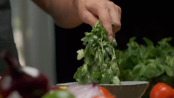 Professional Chef Washes Cilantro Leaves