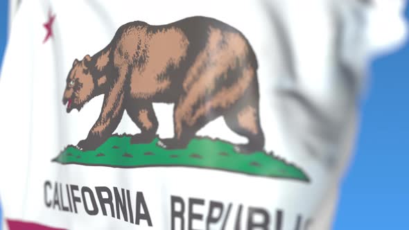 Waving Flag of California