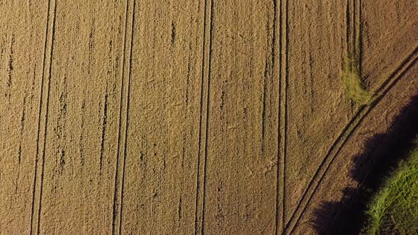 Straw / hay field aerial shot birds eye view