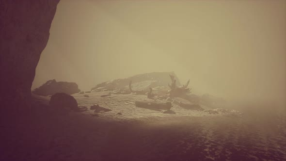 Rocky Cliff with Sand Beach in Deep Fog