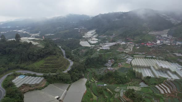 Cameron Highlands, Pahang Malaysia