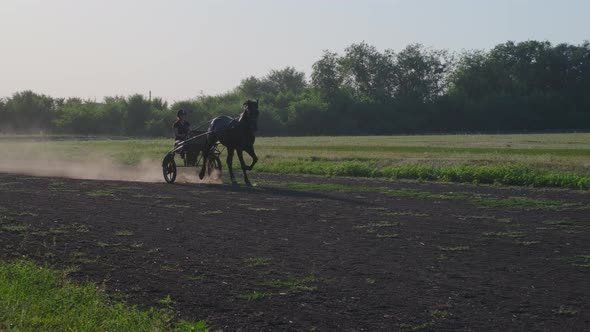 Jockey Trots a Horse in the Countryside