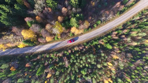 Red Car In A Colorful Forest   Bird's Eye View