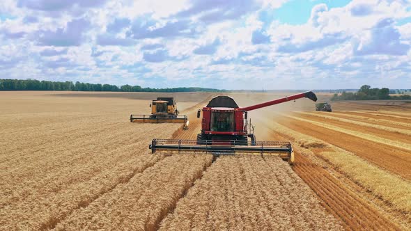 Combine harvesters working on the field. 