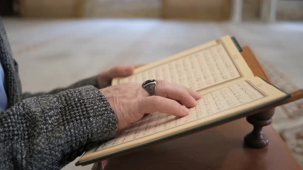 Hand On Quran Pages