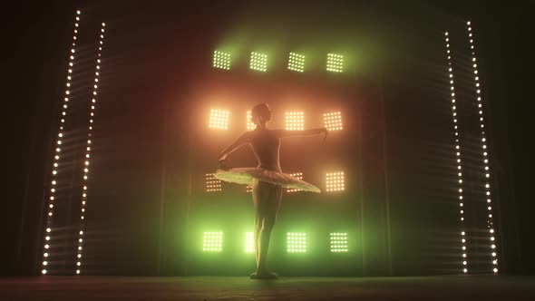 Silhouette Ballet Dancer Performing Swan Lake on the Stage of the Theater. Beauty Concept Slow