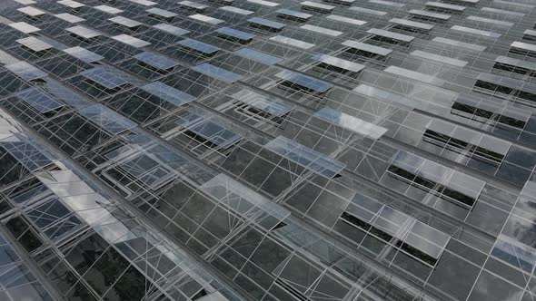 Reflection of the sky in glass greenhouses