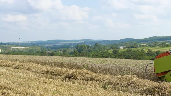 Harvester Removes Wheat on the Field