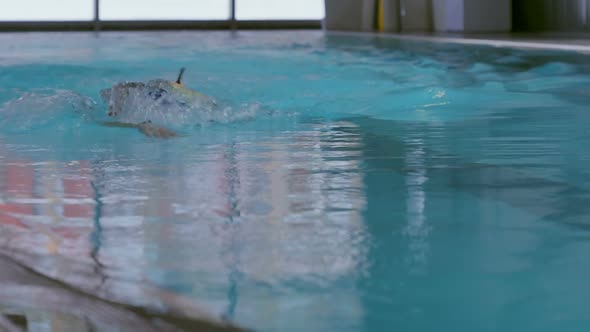 Female Athlete Swimming in Pool