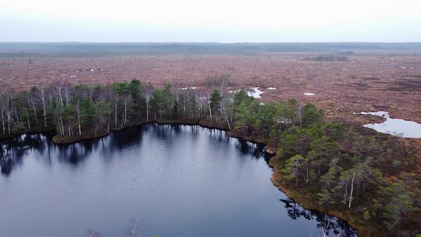 Aerial birdseye view of Dunika peat bog (mire) with small ponds in overcast autumn day, wide high al