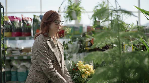 Portrait of a Female Florist in Glasses for Vision Choosing Decorative Plants in Pots for Home or