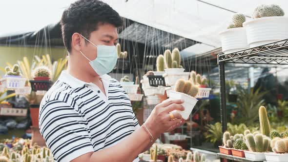 Young Asian man holding and observing miniature cactus plants at the nursery. Slow motion.