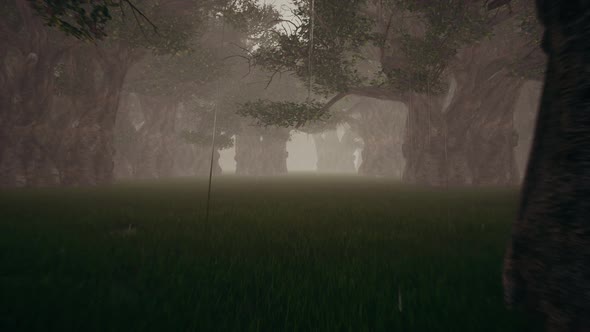 Closeup of Green Rain in the Forest on Light Background for Wallpaper Design. alt