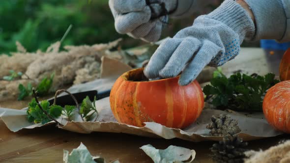 DIY Pumpkin Succulent Planter for Thanksgiving Day Decor