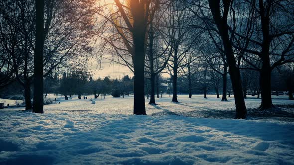 Sunset In Snow Covered Park Tracking Shot