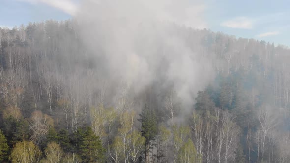 Aerial View Smoke of Wildfire