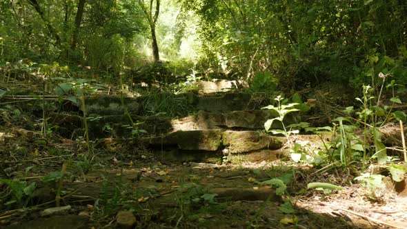 Establishing scene on stone stairways in the woods 4K video